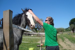 Neil giving Charlies' head a scratch