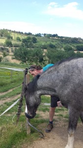 Neil showing Charlie how to use the automatic water system