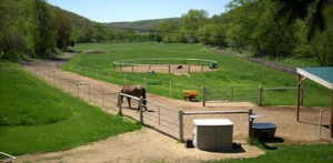 Example of a Paddock Paradise system - photo courtesy of Becky Overland of Hand for Horses, an organization dedicated to natural horse care and management.