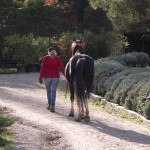 Charlie and me just enjoying a walk in hand