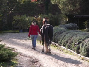 Charlie and me just enjoying a walk in hand