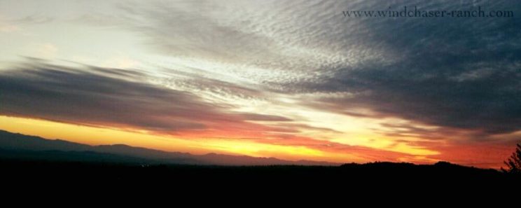 Sharing the sunset with Dakota Wildfire