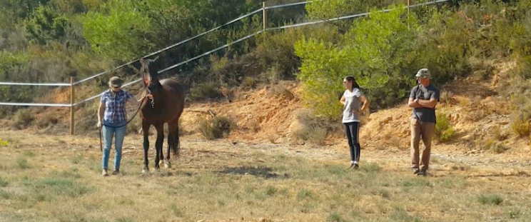 First lead on the left, under the attentive gaze of Gema and Pablo. Note the high head and tension. 