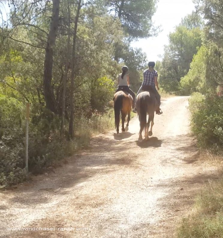 Trail riding with Maca and Gema