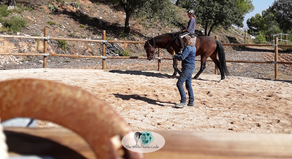 transitioning forn shod to barefoot